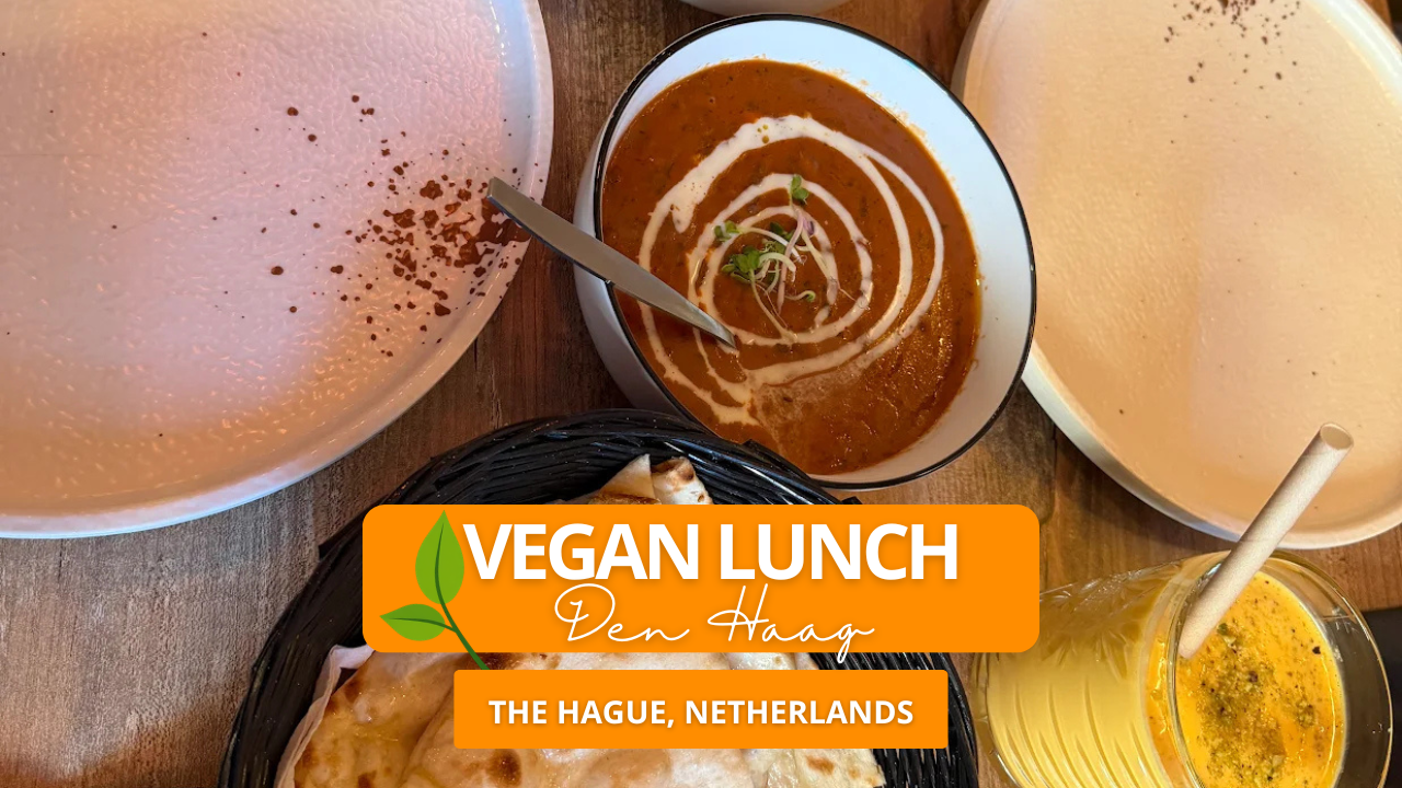 Vegan Lunch Den Haag – Enjoy Fresh and Delicious Plant-Based Meals